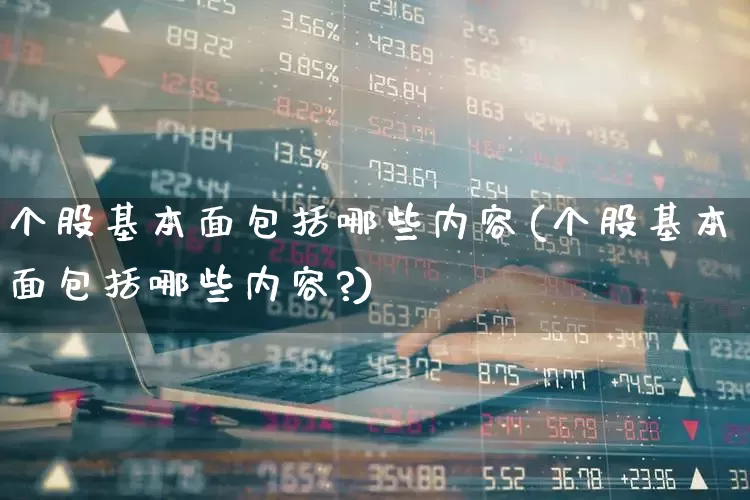 个股基本面包括哪些内容(个股基本面包括哪些内容?)_https://www.ccit-cctv.com_创业板_第1张