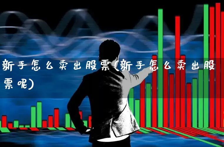 新手怎么卖出股票(新手怎么卖出股票呢)_https://www.ccit-cctv.com_上交所_第1张