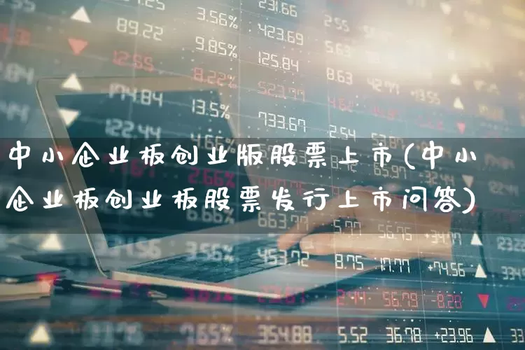 中小企业板创业版股票上市(中小企业板创业板股票发行上市问答)_https://www.ccit-cctv.com_创业板_第1张