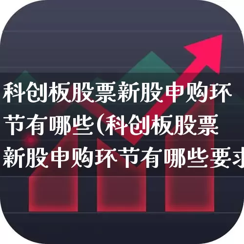 科创板股票新股申购环节有哪些(科创板股票新股申购环节有哪些要求)_https://www.ccit-cctv.com_创业板_第1张