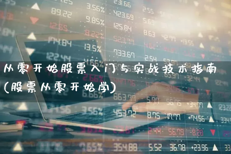 从零开始股票入门与实战技术指南(股票从零开始学)_https://www.ccit-cctv.com_科创板_第1张