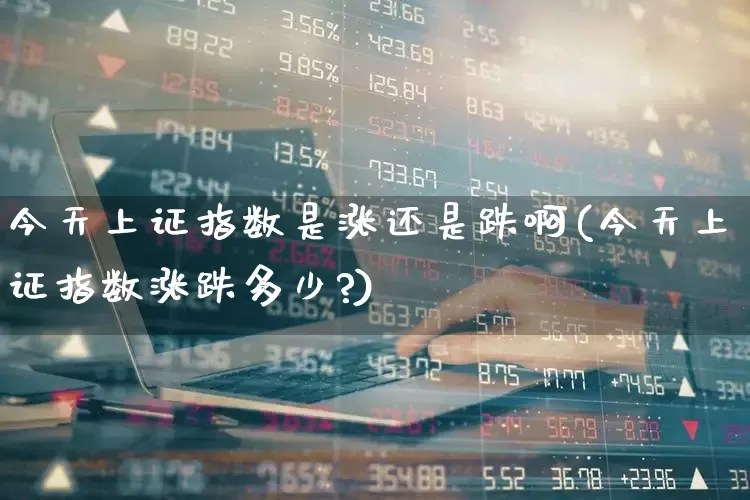 今天上证指数是涨还是跌啊(今天上证指数涨跌多少?)_https://www.ccit-cctv.com_深交所_第1张