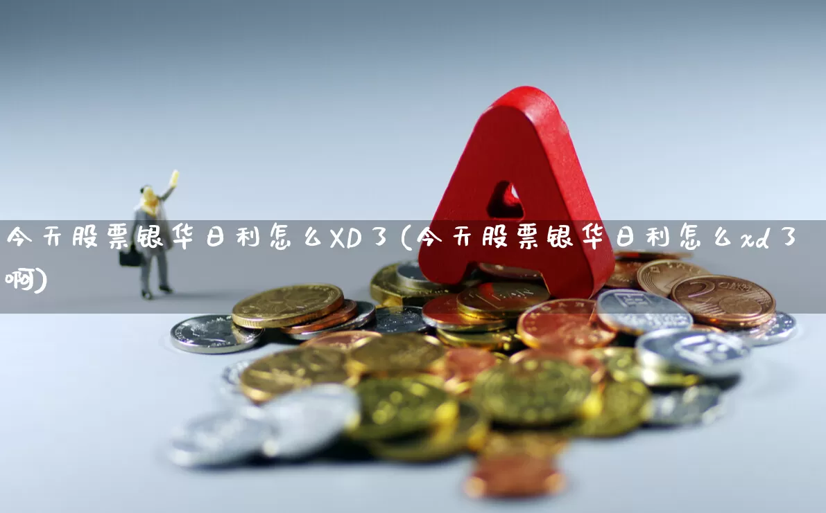 今天股票银华日利怎么XD了(今天股票银华日利怎么xd了啊)_https://www.ccit-cctv.com_北交所_第1张