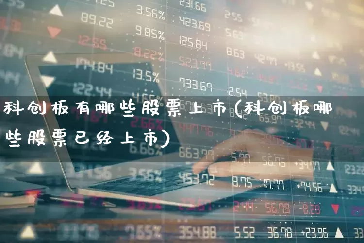 科创板有哪些股票上市(科创板哪些股票已经上市)_https://www.ccit-cctv.com_深交所_第1张