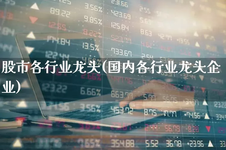 股市各行业龙头(国内各行业龙头企业)_https://www.ccit-cctv.com_科创板_第1张