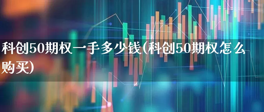 科创50期权一手多少钱(科创50期权怎么购买)_https://www.ccit-cctv.com_上交所_第1张