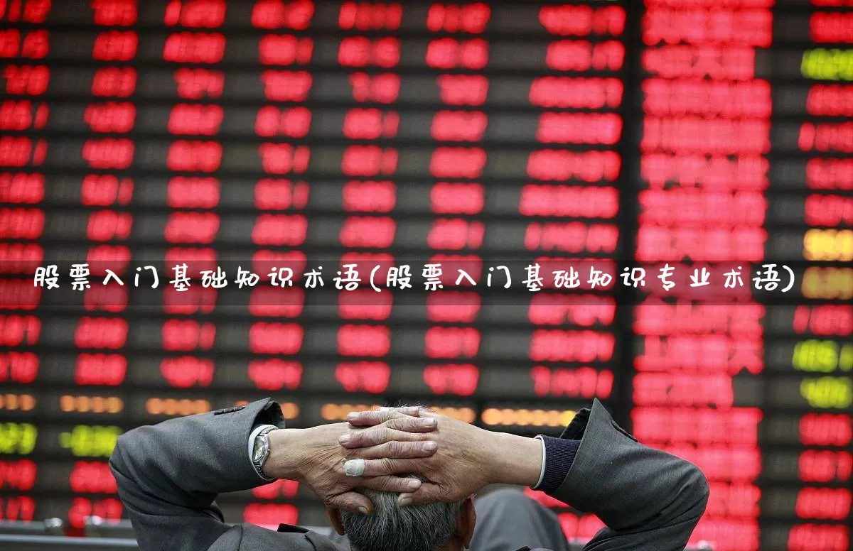 股票入门基础知识术语(股票入门基础知识专业术语)_https://www.ccit-cctv.com_深交所_第1张