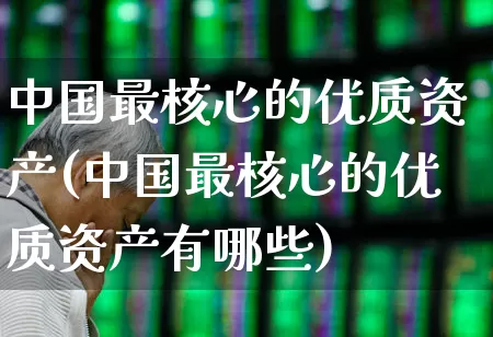 中国最核心的优质资产(中国最核心的优质资产有哪些)_https://www.ccit-cctv.com_科创板_第1张