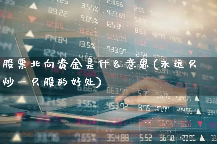 股票北向资金是什么意思(永远只炒一只股的好处)_https://www.ccit-cctv.com_科创板_第1张