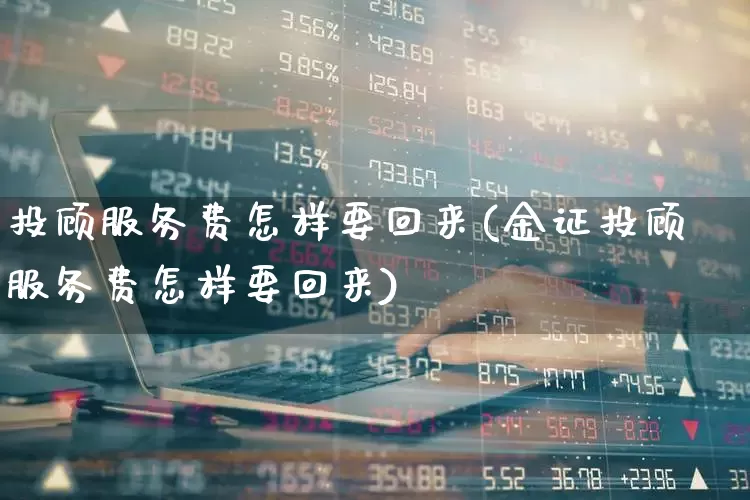 投顾服务费怎样要回来(金证投顾服务费怎样要回来)_https://www.ccit-cctv.com_创业板_第1张