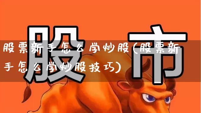 股票新手怎么学炒股(股票新手怎么学炒股技巧)_https://www.ccit-cctv.com_创业板_第1张