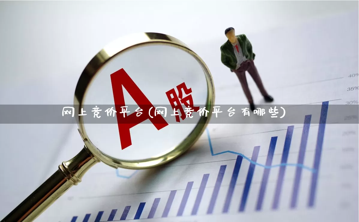 网上竞价平台(网上竞价平台有哪些)_https://www.ccit-cctv.com_科创板_第1张