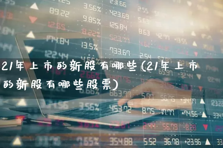 21年上市的新股有哪些(21年上市的新股有哪些股票)_https://www.ccit-cctv.com_科创板_第1张