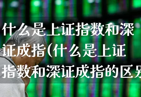 什么是上证指数和深证成指(什么是上证指数和深证成指的区别)_https://www.ccit-cctv.com_科创板_第1张