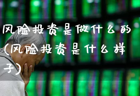 风险投资是做什么的(风险投资是什么样子)_https://www.ccit-cctv.com_上交所_第1张