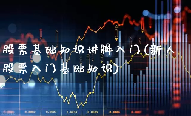 股票基础知识讲解入门(新人股票入门基础知识)_https://www.ccit-cctv.com_北交所_第1张