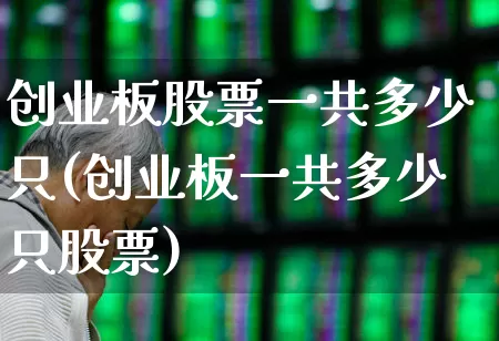 创业板股票一共多少只(创业板一共多少只股票)_https://www.ccit-cctv.com_北交所_第1张