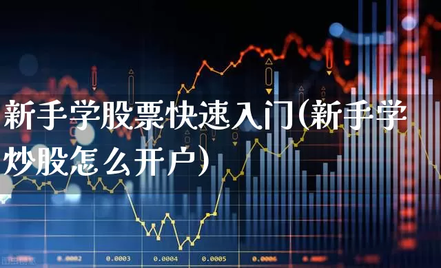 新手学股票快速入门(新手学炒股怎么开户)_https://www.ccit-cctv.com_深交所_第1张