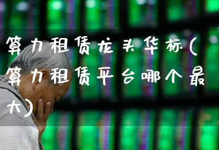 算力租赁龙头华标(算力租赁平台哪个最大)_https://www.ccit-cctv.com_创业板_第1张