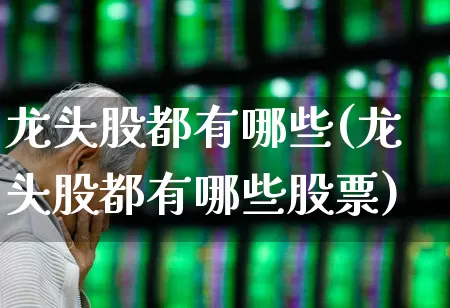龙头股都有哪些(龙头股都有哪些股票)_https://www.ccit-cctv.com_科创板_第1张
