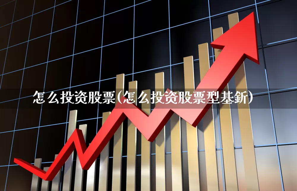 怎么投资股票(怎么投资股票型基釿)_https://www.ccit-cctv.com_北交所_第1张