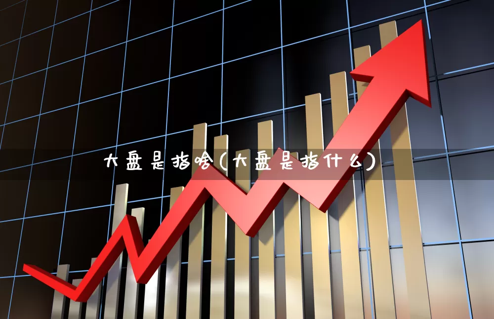 大盘是指啥(大盘是指什么)_https://www.ccit-cctv.com_北交所_第1张