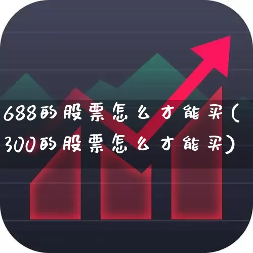 688的股票怎么才能买(300的股票怎么才能买)_https://www.ccit-cctv.com_上交所_第1张