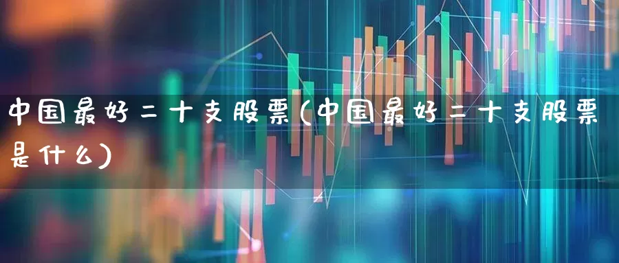 中国最好二十支股票(中国最好二十支股票是什么)_https://www.ccit-cctv.com_科创板_第1张