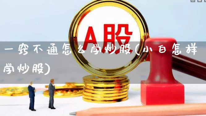 一窍不通怎么学炒股(小白怎样学炒股)_https://www.ccit-cctv.com_创业板_第1张