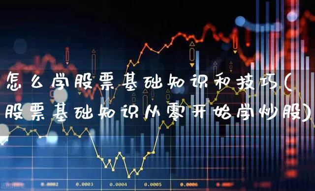 怎么学股票基础知识和技巧(股票基础知识从零开始学炒股)_https://www.ccit-cctv.com_深交所_第1张