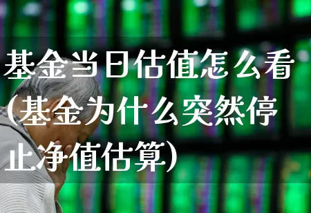 基金当日估值怎么看(基金为什么突然停止净值估算)_https://www.ccit-cctv.com_科创板_第1张