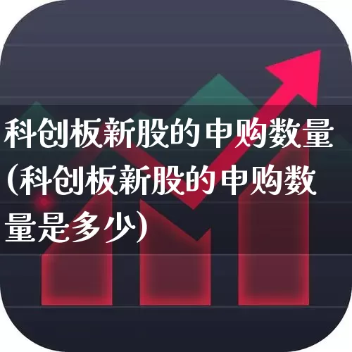 科创板新股的申购数量(科创板新股的申购数量是多少)_https://www.ccit-cctv.com_深交所_第1张