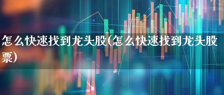 怎么快速找到龙头股(怎么快速找到龙头股票)_https://www.ccit-cctv.com_上交所_第1张