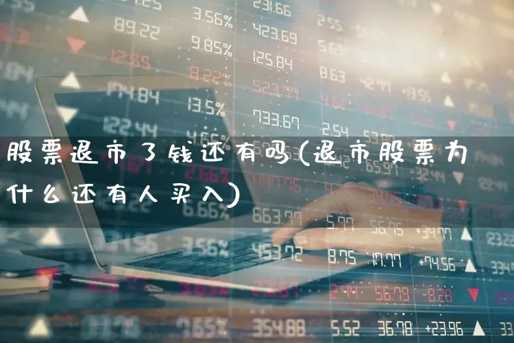 股票退市了钱还有吗(退市股票为什么还有人买入)_https://www.ccit-cctv.com_上交所_第1张