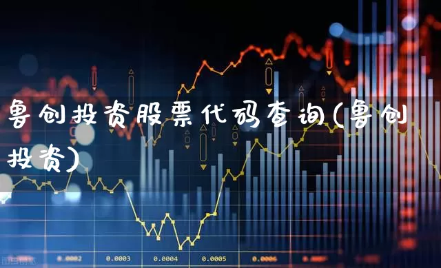鲁创投资股票代码查询(鲁创投资)_https://www.ccit-cctv.com_上交所_第1张