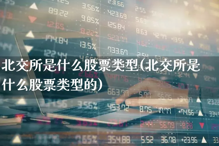 北交所是什么股票类型(北交所是什么股票类型的)_https://www.ccit-cctv.com_科创板_第1张