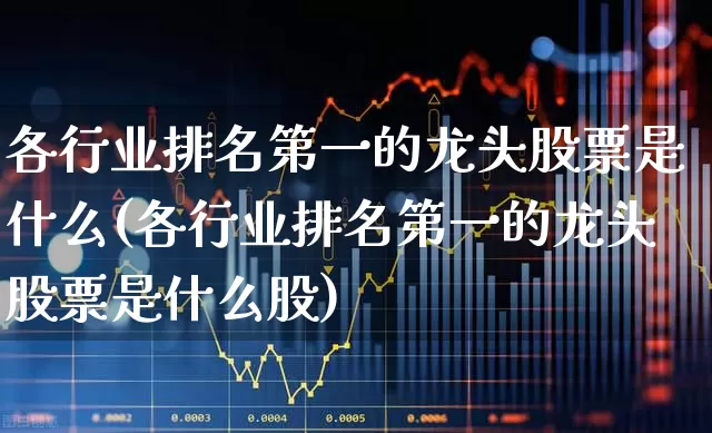 各行业排名第一的龙头股票是什么(各行业排名第一的龙头股票是什么股)_https://www.ccit-cctv.com_创业板_第1张