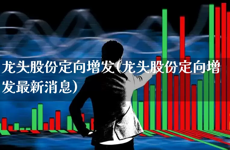 龙头股份定向增发(龙头股份定向增发最新消息)_https://www.ccit-cctv.com_北交所_第1张