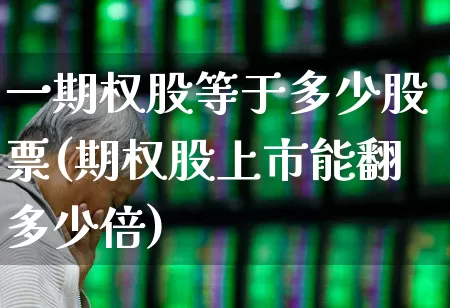 一期权股等于多少股票(期权股上市能翻多少倍)_https://www.ccit-cctv.com_上交所_第1张