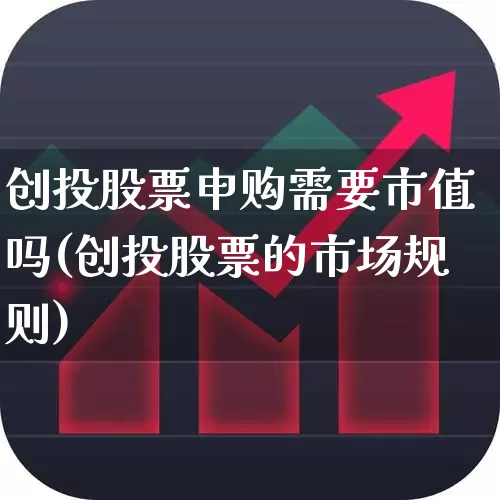 创投股票申购需要市值吗(创投股票的市场规则)_https://www.ccit-cctv.com_深交所_第1张