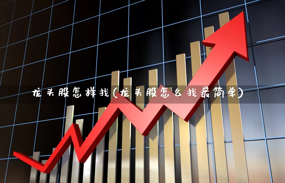 龙头股怎样找(龙头股怎么找最简单)_https://www.ccit-cctv.com_科创板_第1张