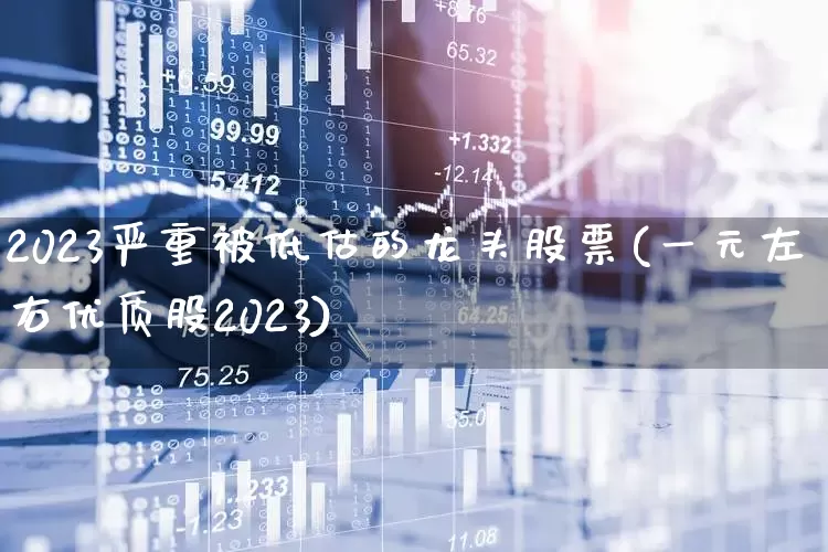 2023严重被低估的龙头股票(一元左右优质股2023)_https://www.ccit-cctv.com_深交所_第1张
