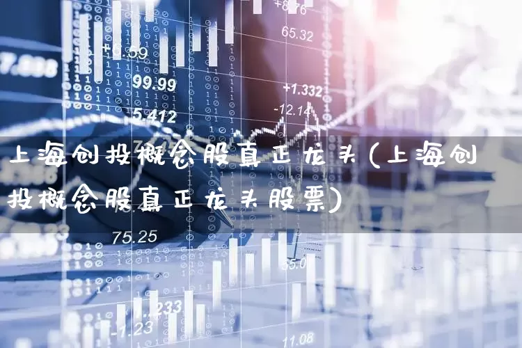 上海创投概念股真正龙头(上海创投概念股真正龙头股票)_https://www.ccit-cctv.com_深交所_第1张