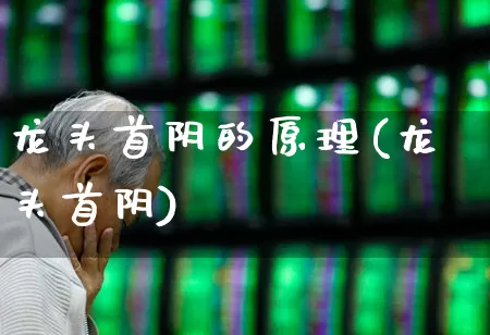 龙头首阴的原理(龙头首阴)_https://www.ccit-cctv.com_创业板_第1张