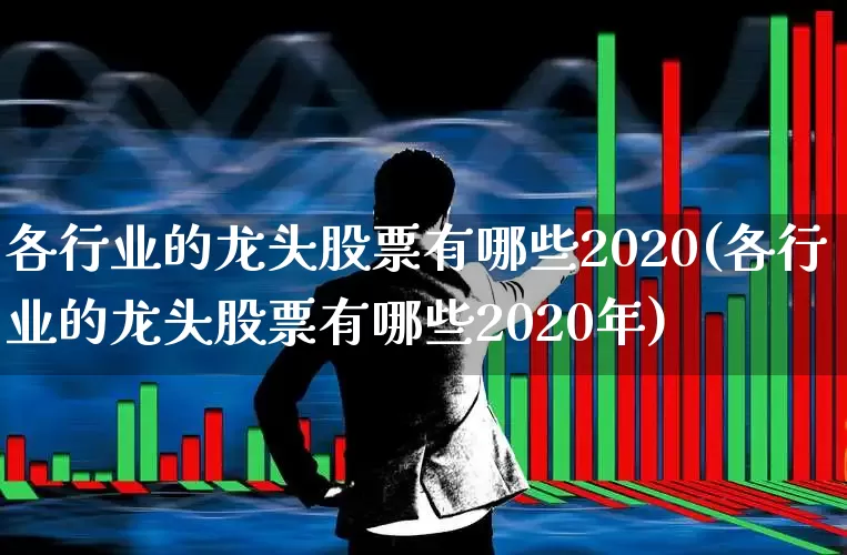 各行业的龙头股票有哪些2020(各行业的龙头股票有哪些2020年)_https://www.ccit-cctv.com_深交所_第1张