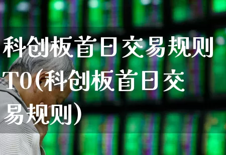 科创板首日交易规则T0(科创板首日交易规则)_https://www.ccit-cctv.com_上交所_第1张