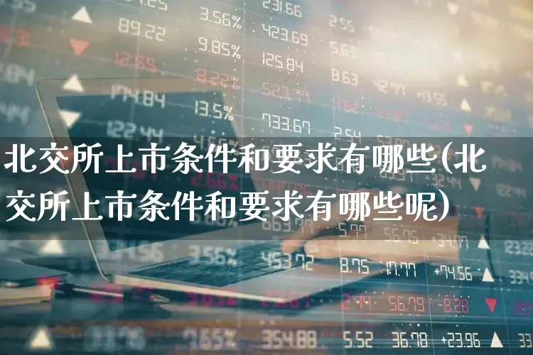 北交所上市条件和要求有哪些(北交所上市条件和要求有哪些呢)_https://www.ccit-cctv.com_深交所_第1张