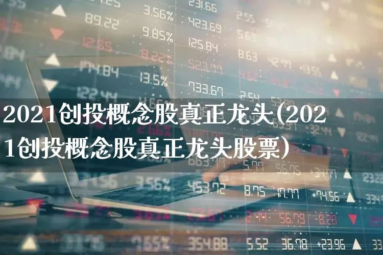 2021创投概念股真正龙头(2021创投概念股真正龙头股票)_https://www.ccit-cctv.com_深交所_第1张