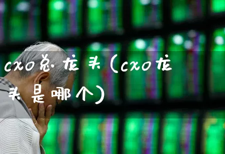cxo总龙头(cxo龙头是哪个)_https://www.ccit-cctv.com_上交所_第1张