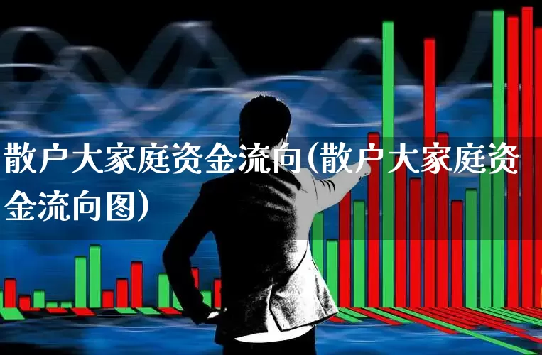 散户大家庭资金流向(散户大家庭资金流向图)_https://www.ccit-cctv.com_深交所_第1张